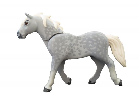 Pferd Haflinger Pferd Haflinger