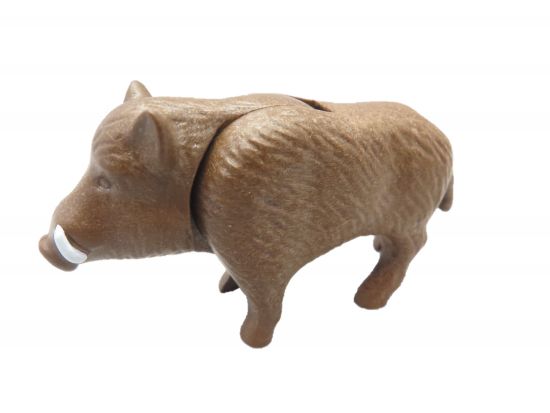 Keiler Wildschwein Keiler Wildschwein