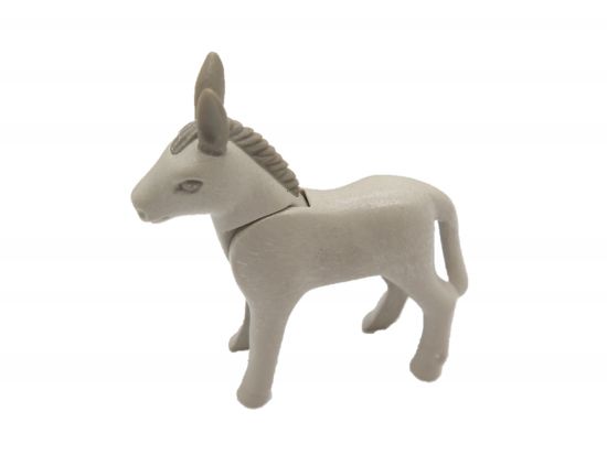 Esel Fohlen Esel Fohlen