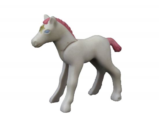 Einhorn Fohlen Einhorn Fohlen