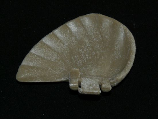 Elefantenohr Elefantenohr