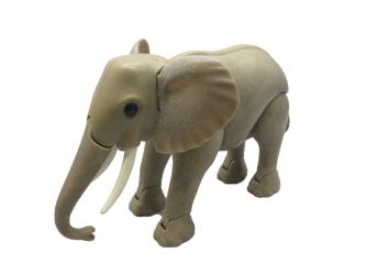 Elefant Afrika Tierpark Zoo Elefant Afrika Tierpark Zoo