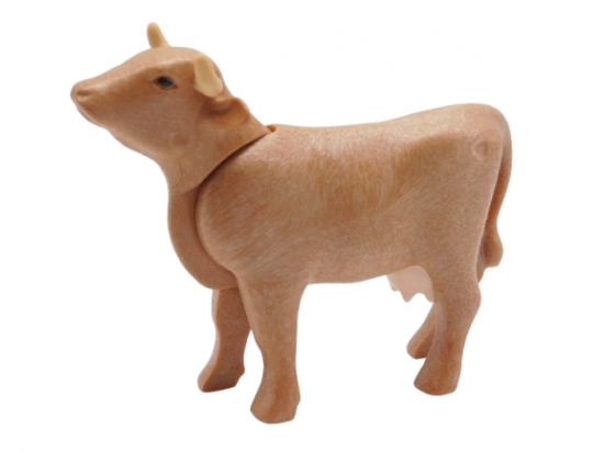 Kuh Rind Kuh Rind