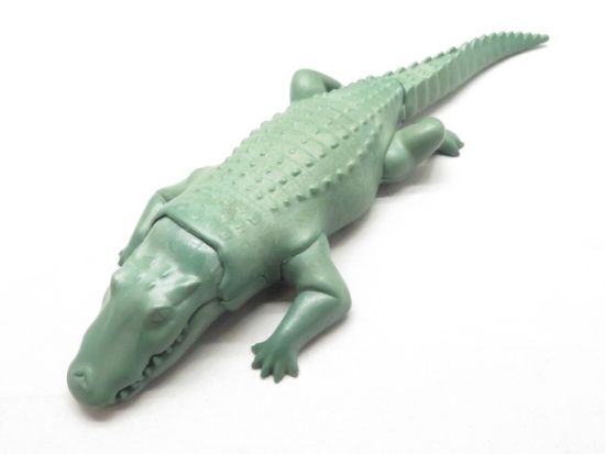 Alligator Krokodil Alligator Krokodil