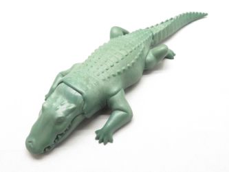 Alligator Krokodil Alligator Krokodil