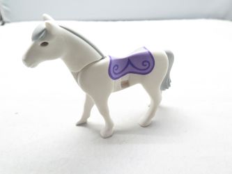 Pferd Zirkus Pferd Zirkus