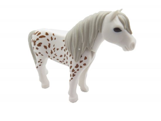 Pony Pferd Pony Pferd