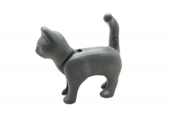 Katze stehend Katze stehend