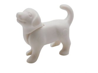 Hundewelpe stehend Hundewelpe stehend