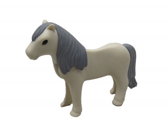 Pony, Pferd Pony, Pferd