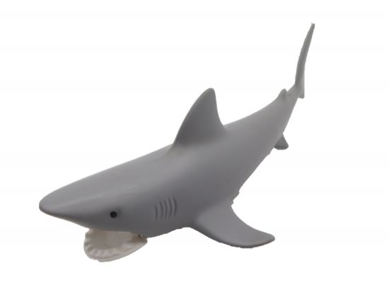 Hai Haifisch Hai Haifisch