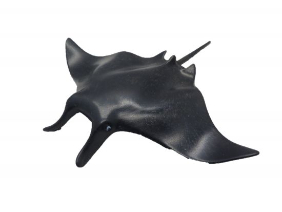 Rochen, Manta Rochen, Manta
