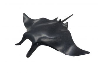 Rochen, Manta Rochen, Manta
