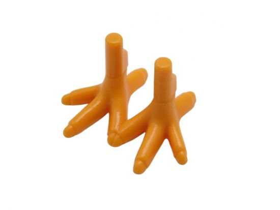 Geier Füsse Geier Füsse