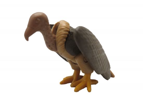 Geier stehend Geier stehend