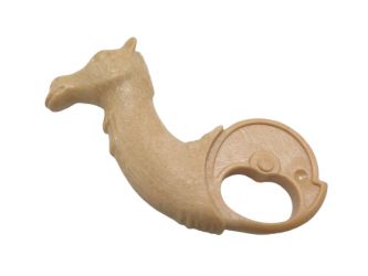 Dromedar Kamel Kopf Dromedar Kamel Kopf