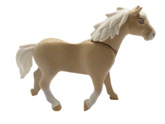 Pferd Haflinger Rodeo Pferd Haflinger Rodeo