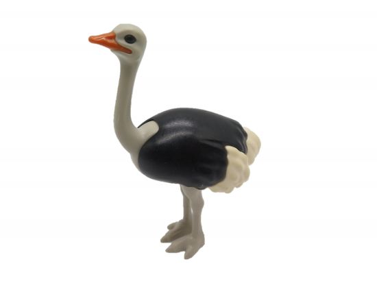 Straussenvogel Straussenvogel