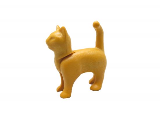 Katze stehend Katze stehend