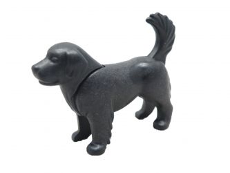 Hund Neufundländer Hund Neufundländer