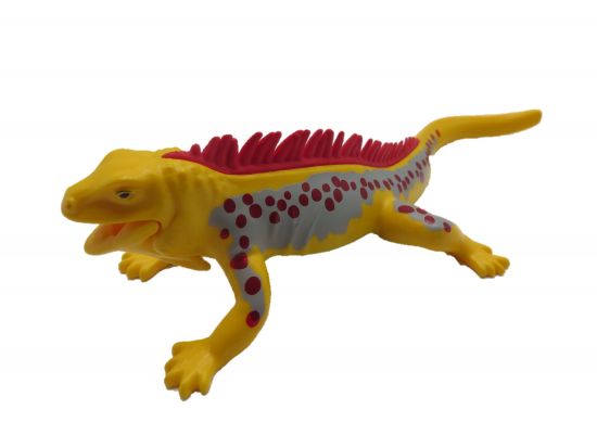 Leguan groß Leguan groß