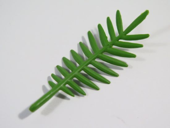 Palmenblatt Palmenblatt