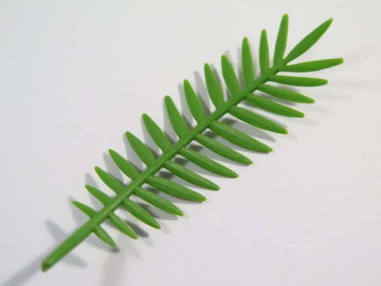 Palmenblatt Palmenblatt
