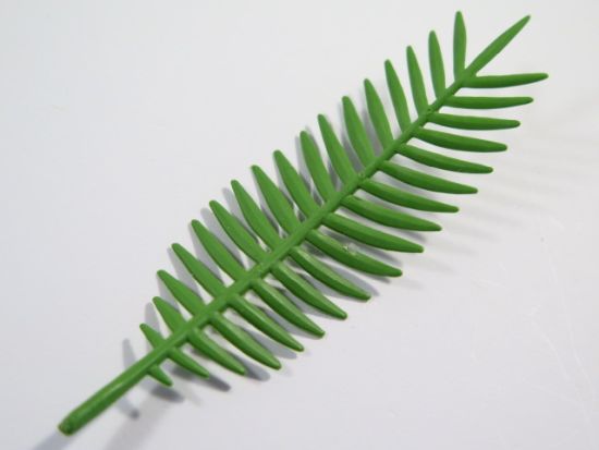 Palmenblatt Palmenblatt