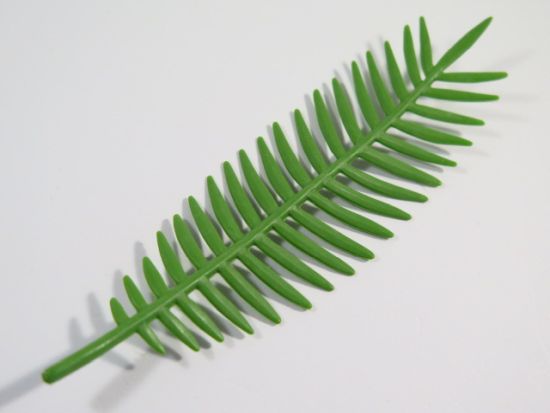 Palmenblatt Palmenblatt