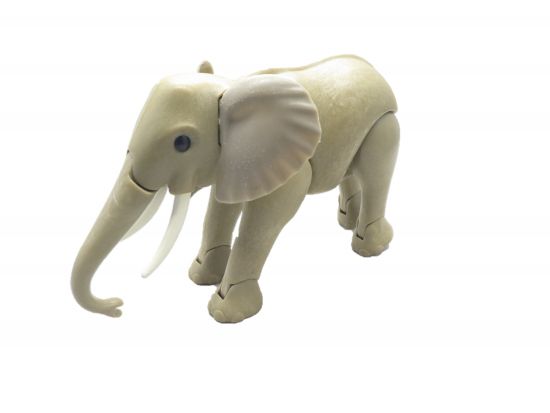 Elefant groß Elefant groß