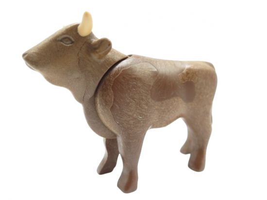 Bulle Ochse Bulle Ochse