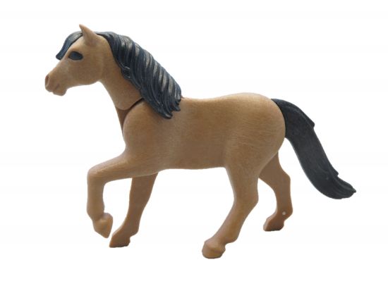 Pferd Pony Pferd Pony