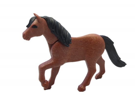 Pferd Pony Pferd Pony