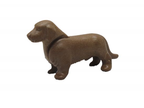 Hund Dackel Hund Dackel