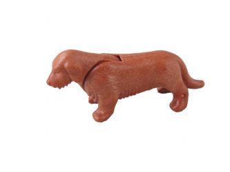 Hund Dackel Hund Dackel