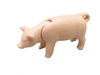 Ferkel Schweinebaby Ferkel Schweinebaby