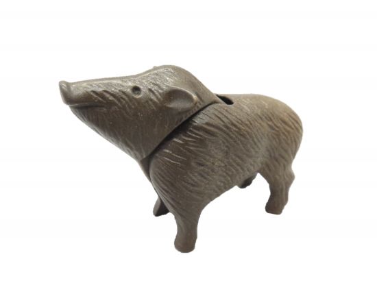 Wildschwein Bache Wildschwein Bache