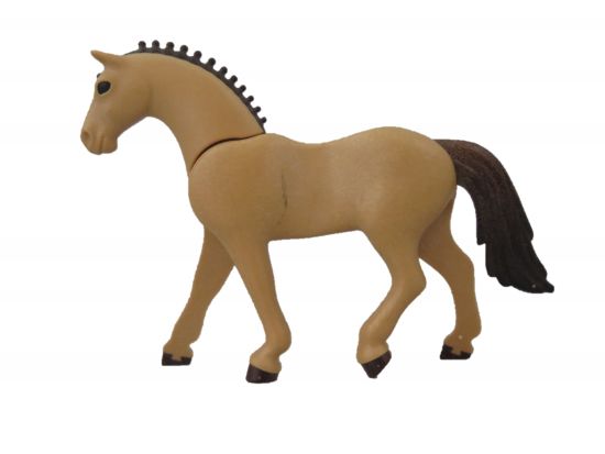 Pferd Dressur Pferd Dressur