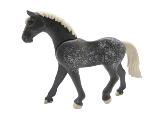 Pferd Trakehner Pferd Trakehner