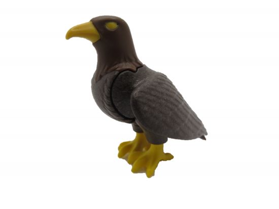 Adler stehend Adler stehend