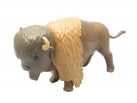 Büffel, Bison Büffel, Bison