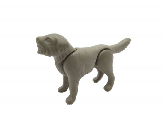 Hund Wolfshund Hund Wolfshund