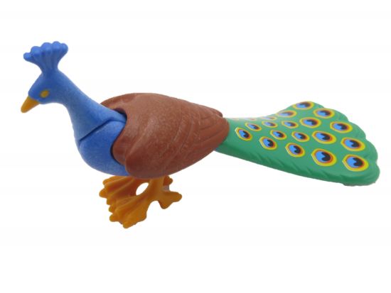 Pfau Pfau