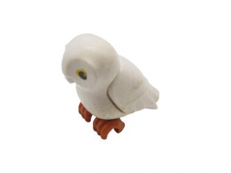 Eule Waldkauz Eule Waldkauz