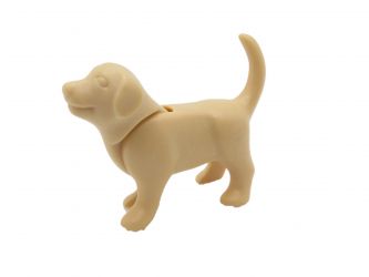 Hund Welpe stehend Hund Welpe stehend