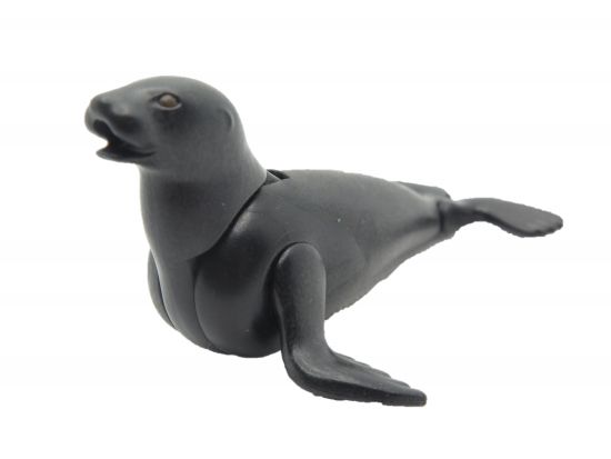 Seelöwe Robbe Seelöwe Robbe