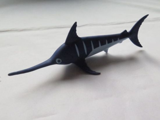 Schwertfisch Schwertfisch