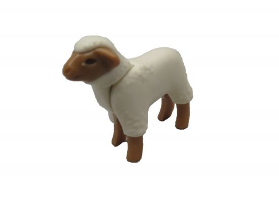 Schaf Lamm Schaf Lamm