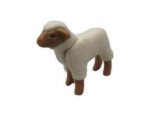 Schaf Lamm Schaf Lamm