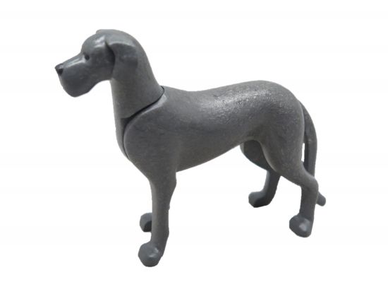 Hund Dogge Hund Dogge